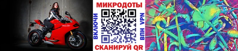 Галлюциногенные грибы мицелий  блэк спрут ТОР  Палласовка 