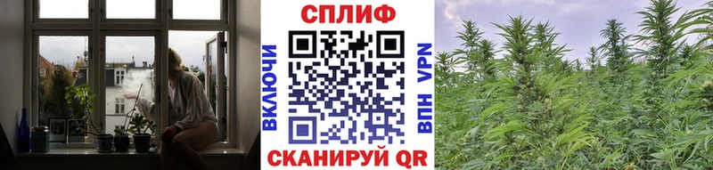 Канабис SATIVA & INDICA  наркотики  omg рабочий сайт  Палласовка 